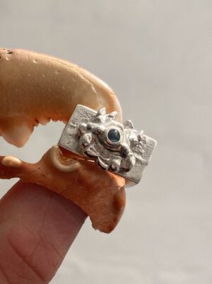 CRAB - Image 2