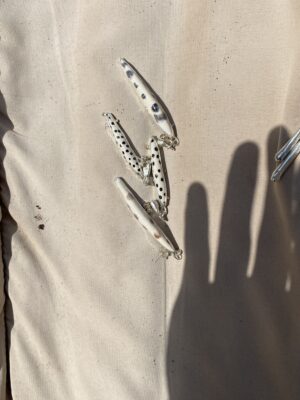 SEA SLUG, BROWN SPOT - Image 3